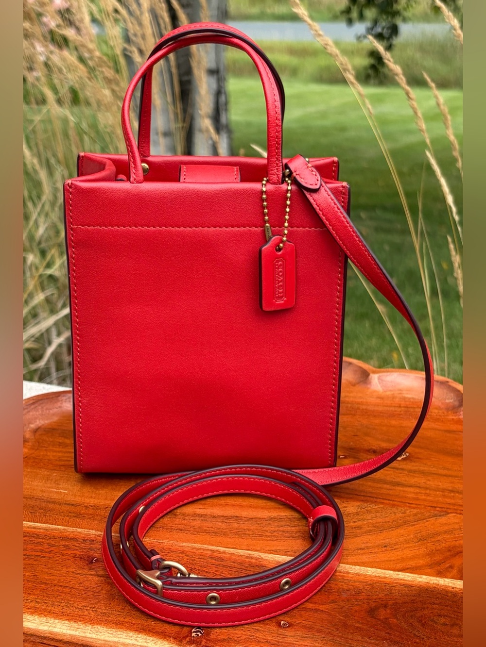 Coach Mini Cashin Tote Crossbody Red Leather C4828 EUC